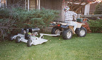 Mowing Under a Tree